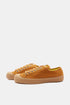 Novesta Star Master (Sedlova/Transparent) | Valmentajat